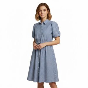 J. Crew Blue and White Striped Shirt Dress